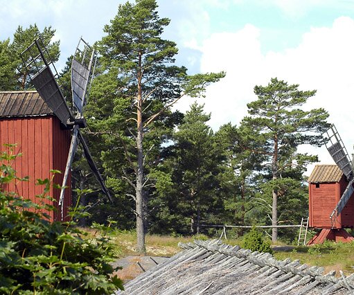 _DSC0023 Windmills