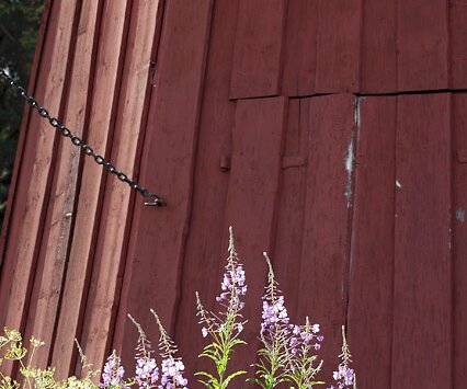 _DSC0036 Flowers in front of a windmill