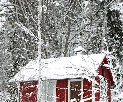 _DSC0026 Little red house