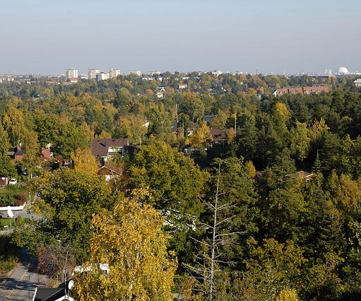 _DSC0010 View from the balcony, a beautiful October afternoon