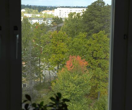 _DSC0013 Autumn, view from the kitchen window
