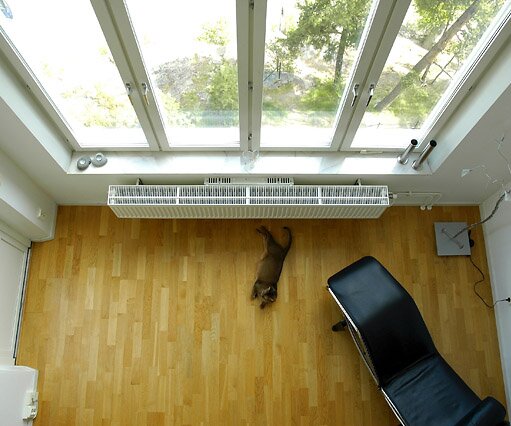 _DSC0092 Dumle resting in front of the windows in the sitting room