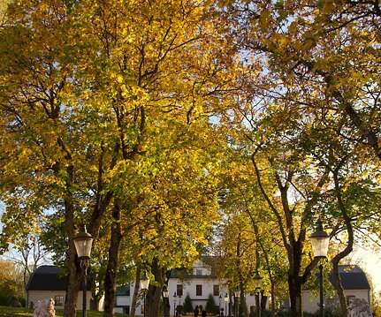 _DSC0004 Towards Häringe Castle.