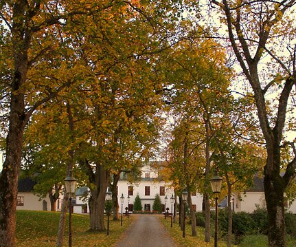 _DSC0036 The alley leading to Häringe Castle.
