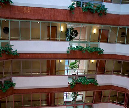 _DSC0058 In the hotel.