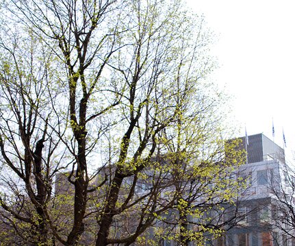 _DSC0004 Klara church yard.