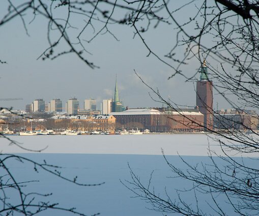 _DSC0012 Stockholm city.