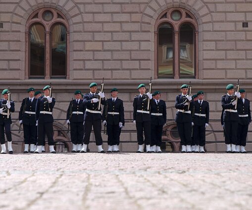 _DSC0001 Guards.