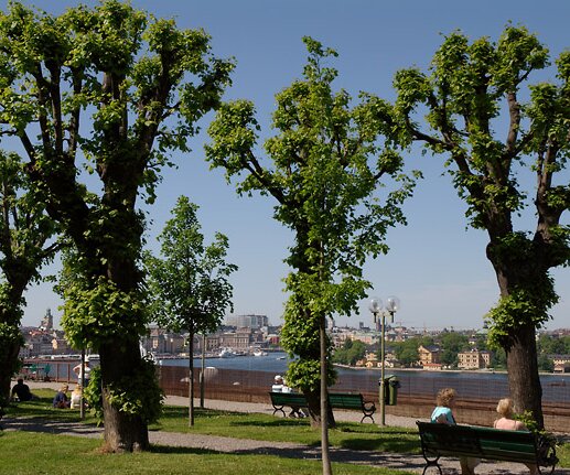 _DSC0047 Park with a beautiful view, at the heights above Stadsgården at Söder.