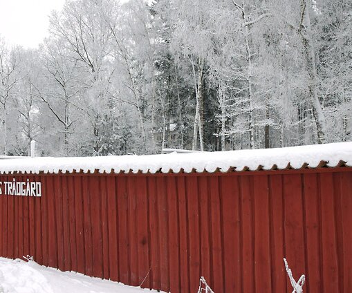 _DSC0007 Zeta's garden is closed in wintertime
