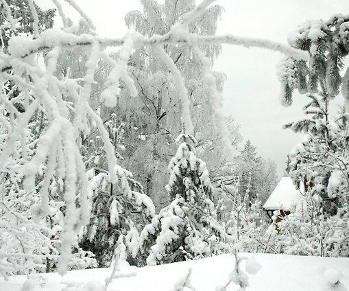_DSC0023 Winter landscape