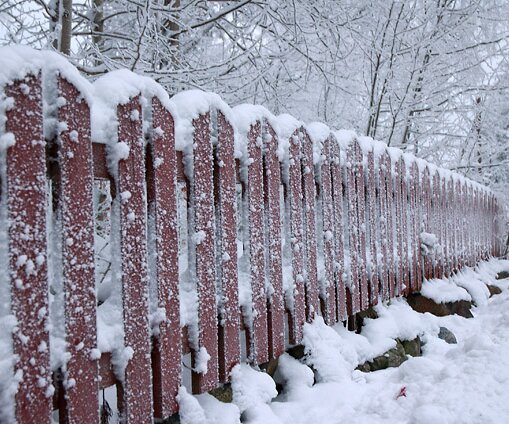 _DSC0036 Frosty fence