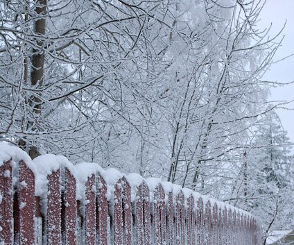 _DSC0037 Winter and snow everywhere