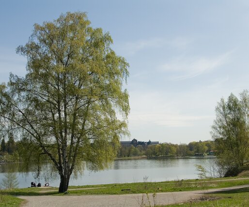 _DSC0007 By the lake.