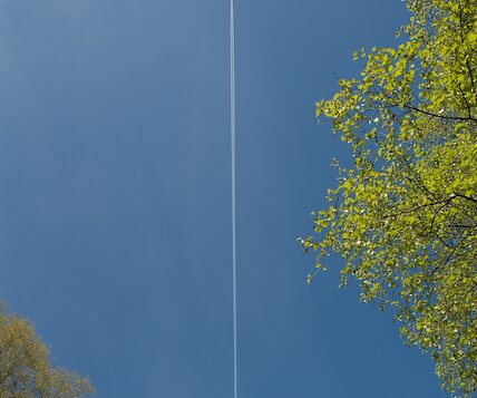_DSC0011 Airplane in the sky.