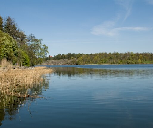 _DSC0023 View.