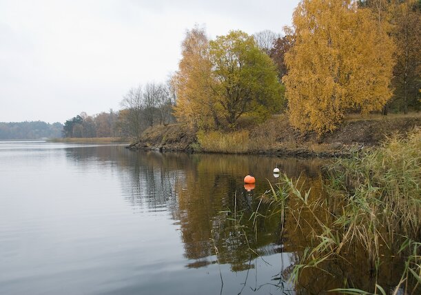 Frösundavik in Autumn