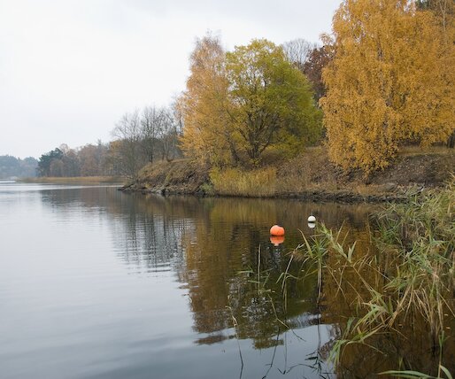 _DSC0007 Autumn landscape.