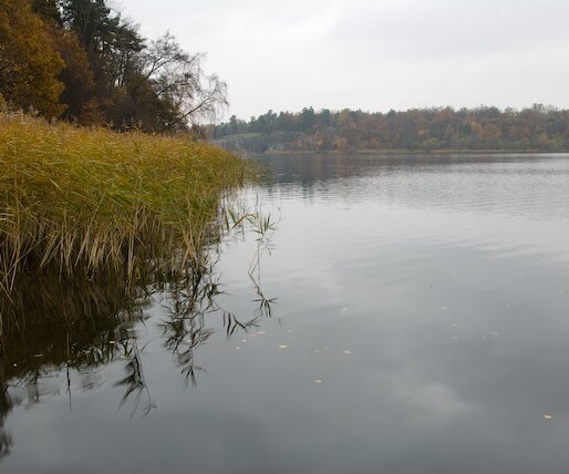 _DSC0011 Autumn landscape.