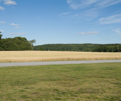 _DSC0037 Wheat field near Steninge castle.