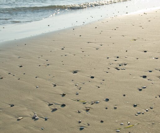 _DSC0051 Pebbles on the sandy beach of Kourion.