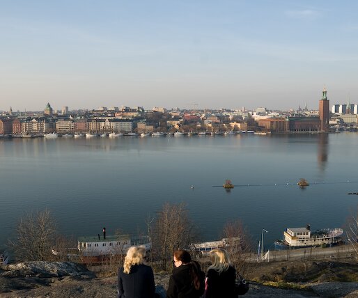 _DSC0048 View towards Norr Mälarstrand from Skinnarviksberget.