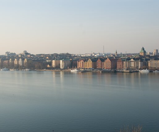 _DSC0051 Norr Mälarstrand, as seen from Skinnarviksberget.