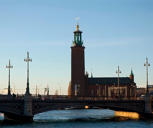 _DSC0015 Stockholm Town Hall in the background.