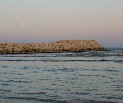 _DSC0055 Afternoon moon.