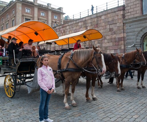 _DSC0033 Ingrid and horses, outside the Royal Palace.