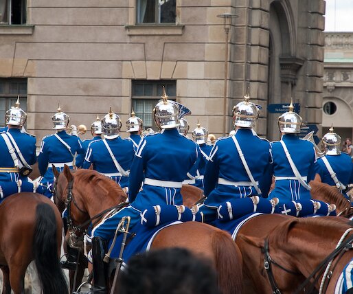 _DSC0065 Change of the Royal Guard at the Royal Palace.