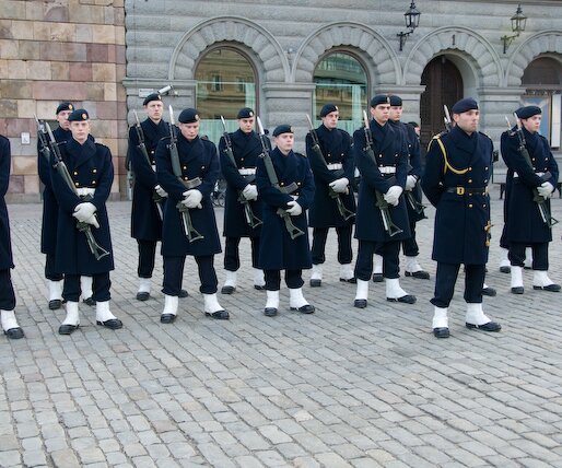 _DSC0013 Royal guards.