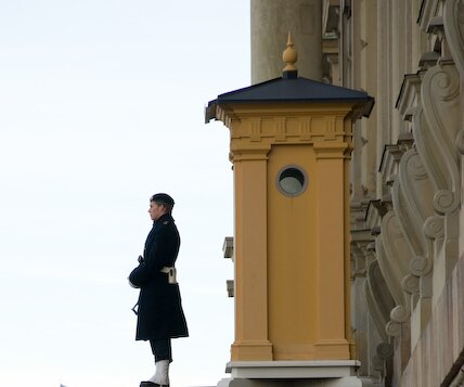 _DSC0022 Royal guard.