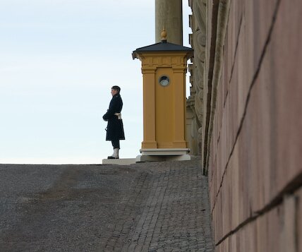 _DSC0023 Royal guard.
