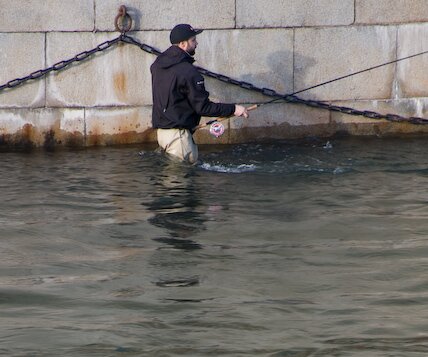 _DSC0045 Man fishing in the stream.