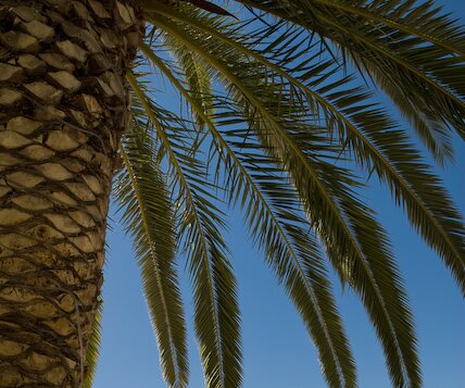 _DSC0006 At Apollonia Beach Hotel.