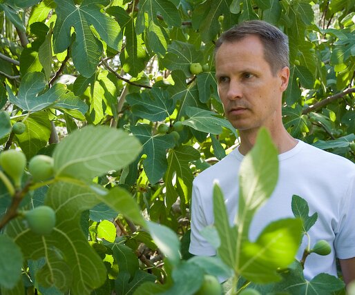 _DSC0004 Arto by the fig tree in our garden.