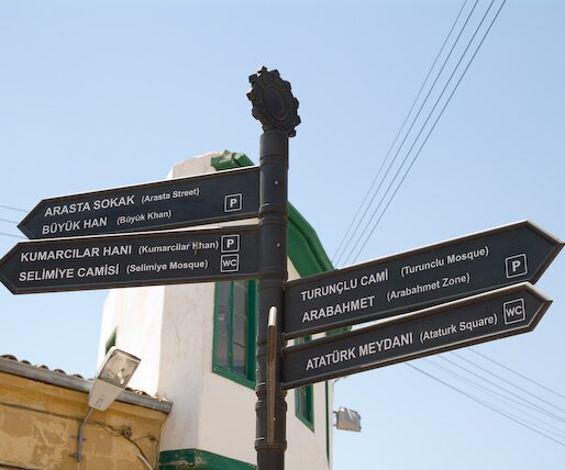 _DSC0009 Directions in occupied Nicosia.