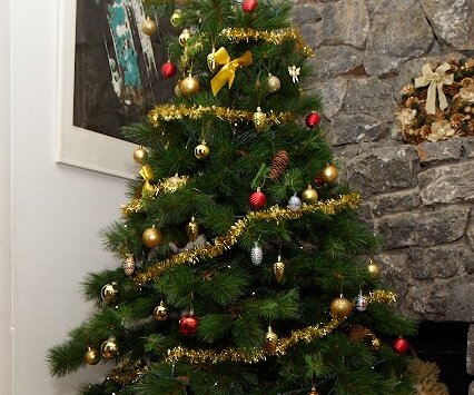 _DSC0053 The Christmas tree.