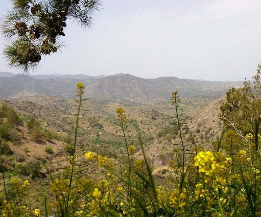 _DSC0017 View of the Troodos mountains from Fikardou.