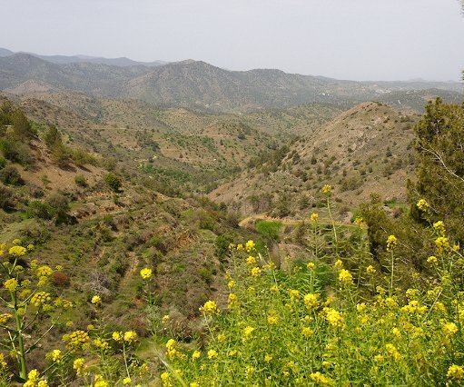 _DSC0022 View of the Troodos mountains from Fikardou.