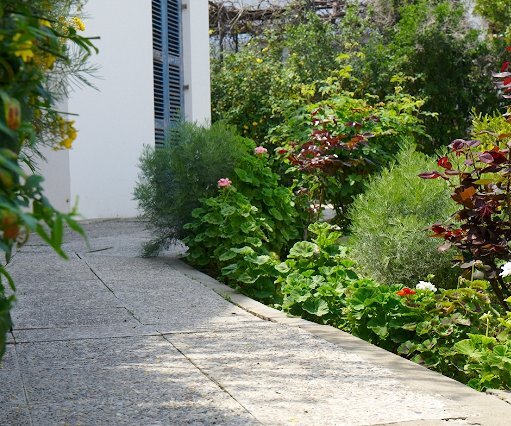 _DSC0017 At the house in Nicosia.