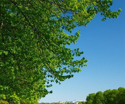 _DSC0077 In Hagaparken.