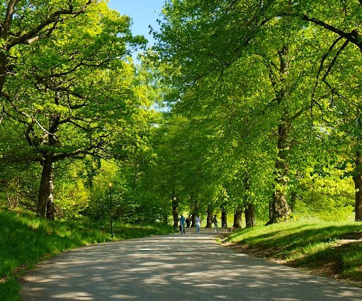 _DSC0079 Walking in Hagaparken.