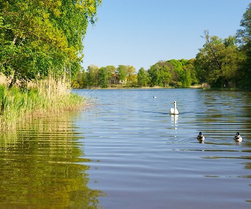 _DSC0086 Lake in Hagaparken.