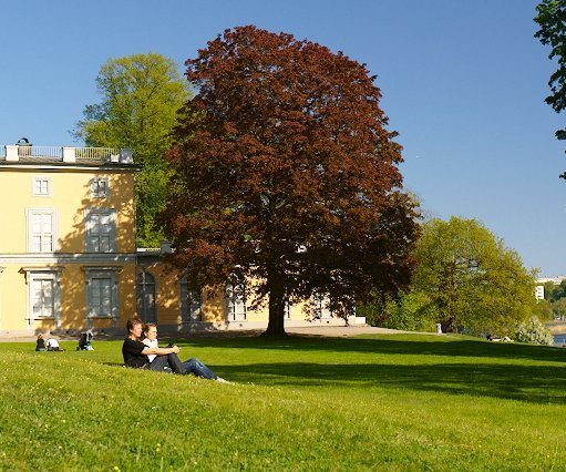 _DSC0100 In Hagaparken.