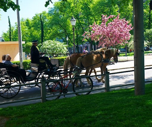 _DSC0167 Horses and carriage in Helsinki.