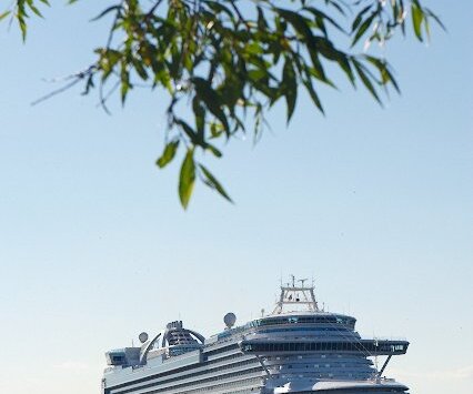 _DSC0062 A cruise ship passing by Nacka Strand.