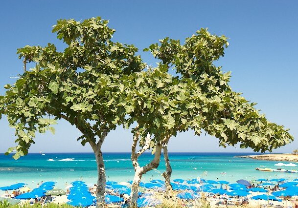 At Fig Tree Bay