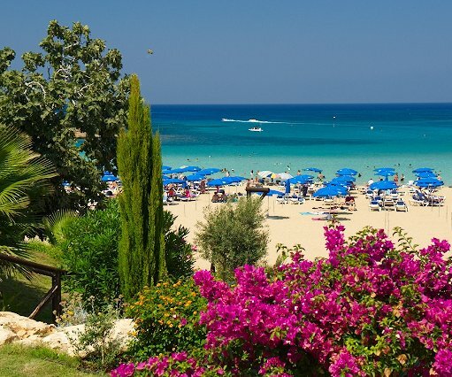 _DSC0067 At fig tree bay.